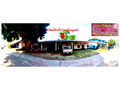 LAND 232.1 Sq.w. Wang Nam Yen Srakaeo for 1.4M