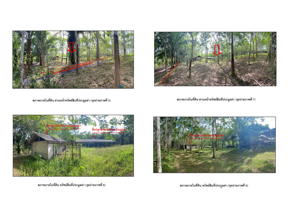 รูป ที่ดินพร้อมสิ่งปลูกสร้าง 2863 ตร.วา พนม สุราษฎร์ธานี 2.5M - รูปที่ 3/7