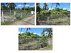 listing thumbnail image 4