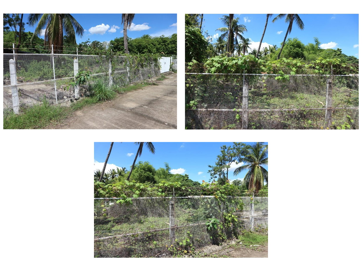 picture LAND 287 Sq.w. Muang Uttaradit Uttaradit for 1M - 5/5