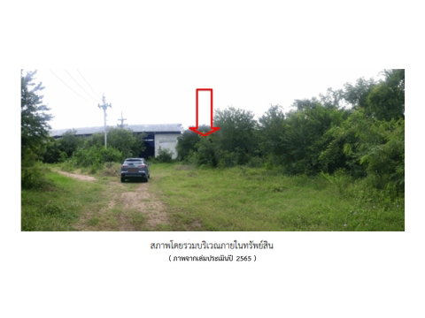 ที่ดินพร้อมสิ่งปลูกสร้าง 1600 ตร.วา บ้านโป่ง ราชบุรี 2.9M