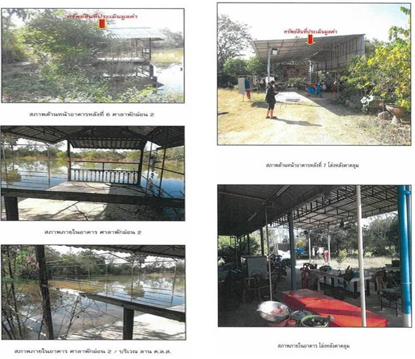 รูป ที่ดินพร้อมสิ่งปลูกสร้าง 6290 ตร.วา เมืองชัยภูมิ ชัยภูมิ 19.7M - รูปที่ 7/7