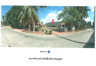 Houses for sale Nakhon Sri Thammarat : HOME 1335 Sq.w. Khanom Nakhon Sri Thammarat for 7.5M