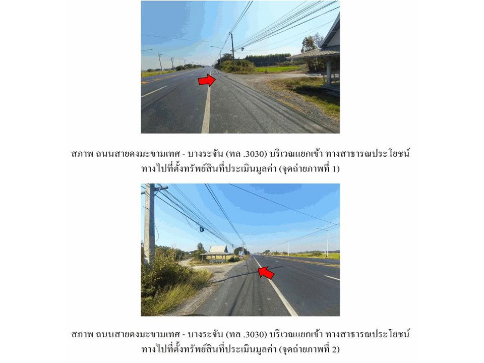 picture LAND 114.2 Sq.w. Bang Rachan Singburi for 1.6M - 2/3