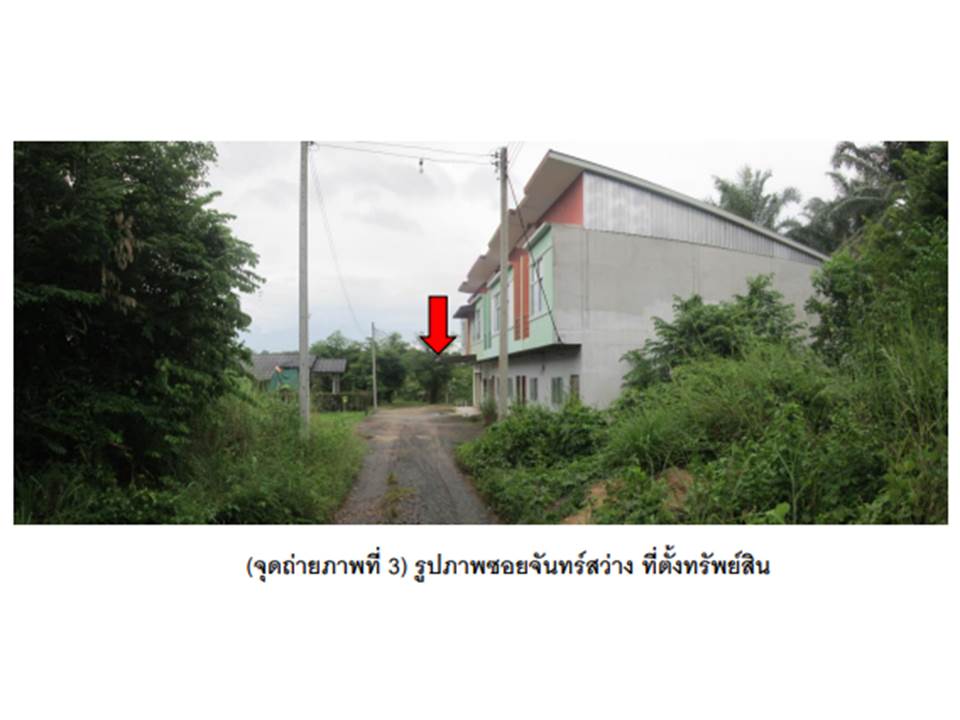 picture LAND 117.5 Sq.w. Muang Surat Thani Surat Thani for 1.5M - 3/4