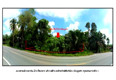 Land for sale Lam Thap Krabi : LAND 212.3 Sq.w. Lam Thap Krabi for 825,000