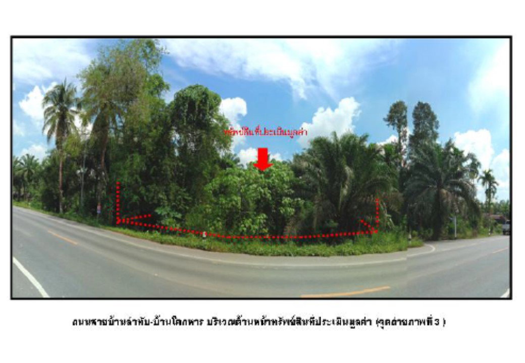 picture LAND 212.3 Sq.w. Lam Thap Krabi for 825,000 - 1/3