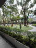 listing thumbnail image 27