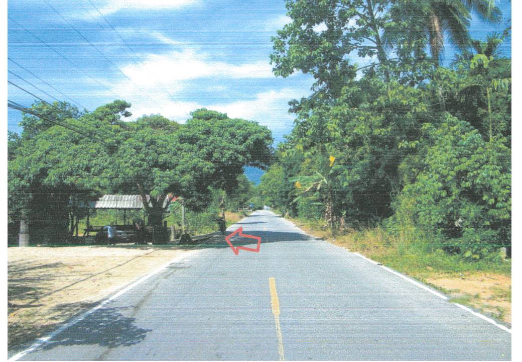 รูป ที่ดินพร้อมสิ่งปลูกสร้าง 391.2 ตร.วา เจาะไอร้อง นราธิวาส 840,000 - รูปที่ 4/8