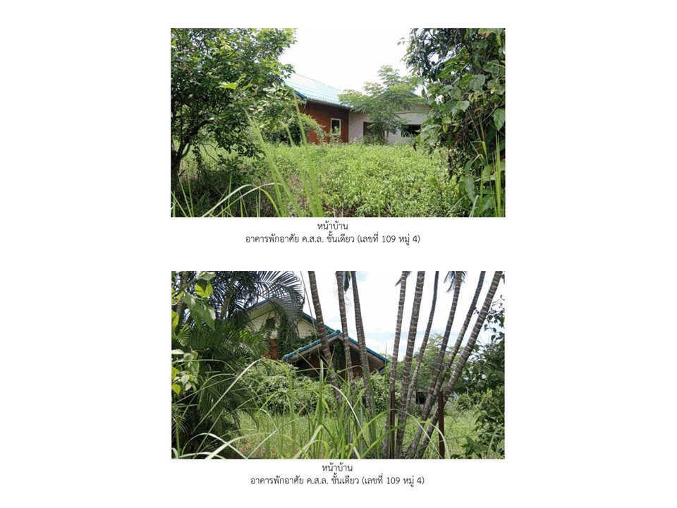 รูป ที่ดินพร้อมสิ่งปลูกสร้าง 400 ตร.วา พาน เชียงราย 1.6M - รูปที่ 4/5