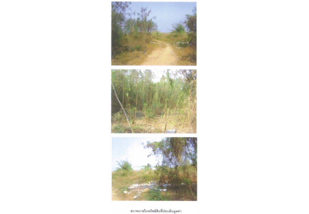 picture LAND 2830 Sq.w. Muang Uttaradit Uttaradit for 9.9M - 4/4
