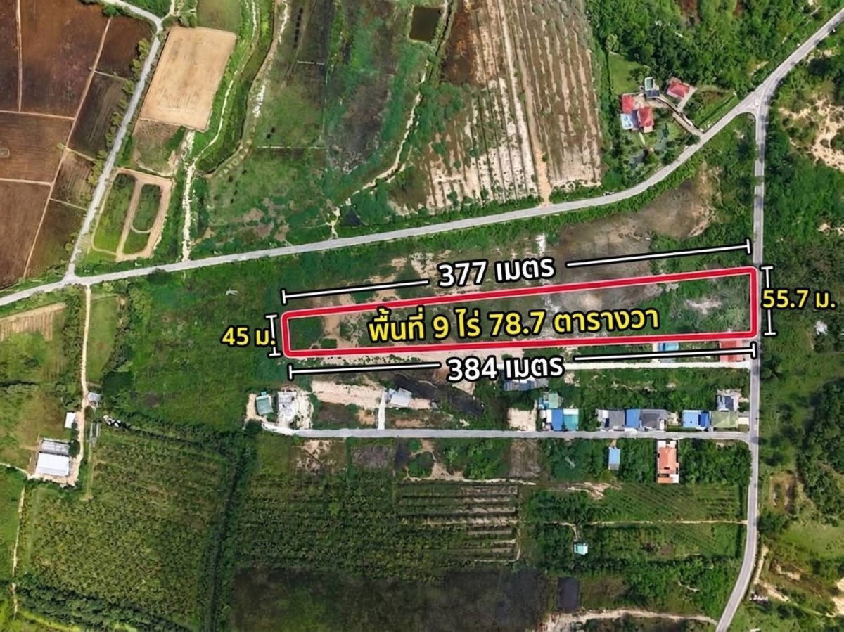 picture Developer-s Rare Opportunity! 9-Rai Land in Cha-am Pink Zone | #TPI-3504 - 4/4