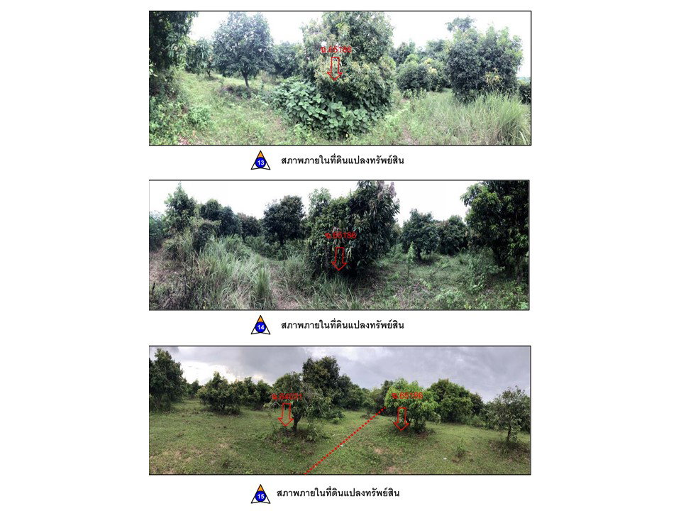 picture LAND 6295 Sq.w. Phrom Phiram Phitsanulok for 2.8M - 5/8