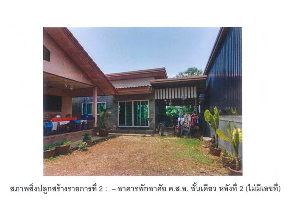 picture LAND 101 Sq.w. Wieng Kaen Chiang Rai for 1.4M - 4/4