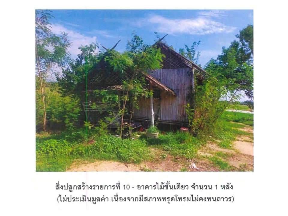 picture LAND 2347.8 Sq.w. Muang Lampang Lamphang for 9.5M - 6/7