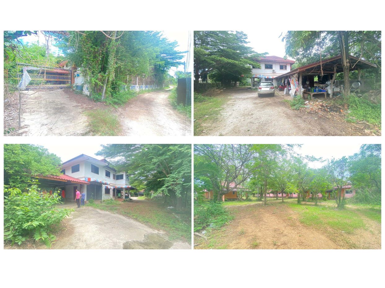 picture LAND 2150 Sq.w. Ban Dan Lan Hoi Sukhothai for 6.1M - 3/4