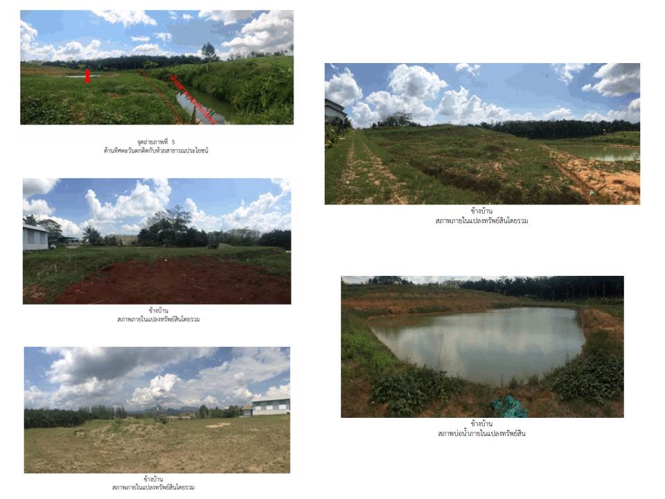 รูป ที่ดิน 2722 ตร.วา พนม สุราษฎร์ธานี 3.2M - รูปที่ 4/4