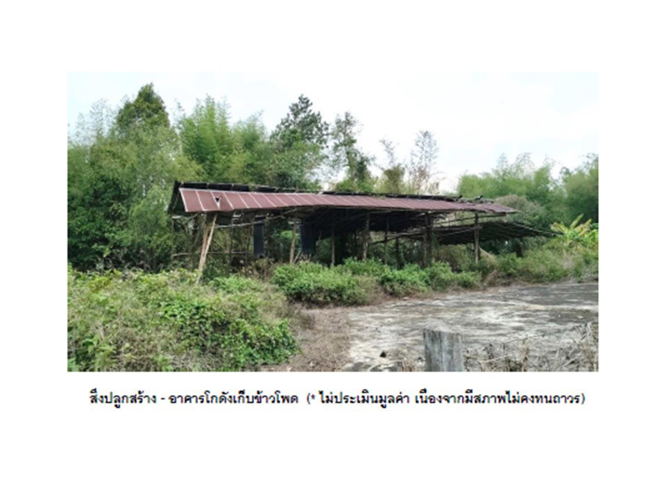 picture LAND 812 Sq.w. Chiang Klang Nan for 1.2M - 5/5