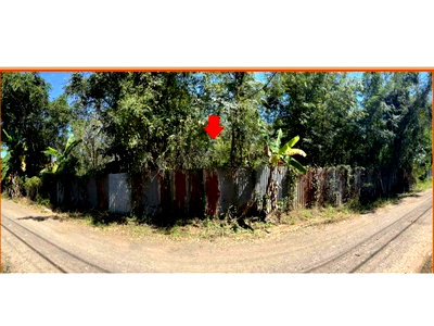 Land for sale Chok Chai Nakhon Ratchasima : LAND 1178 Sq.w. Chok Chai Nakhon Ratchasima for 2.2M