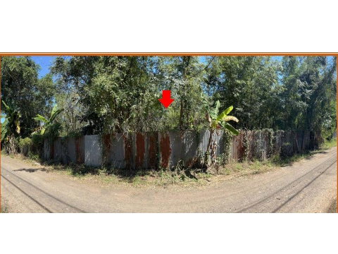 LAND 1178 Sq.w. Chok Chai Nakhon Ratchasima for 2.2M