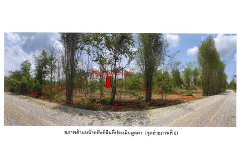LAND 1383 Sq.w. Mae Tha Lamphang for 360,000