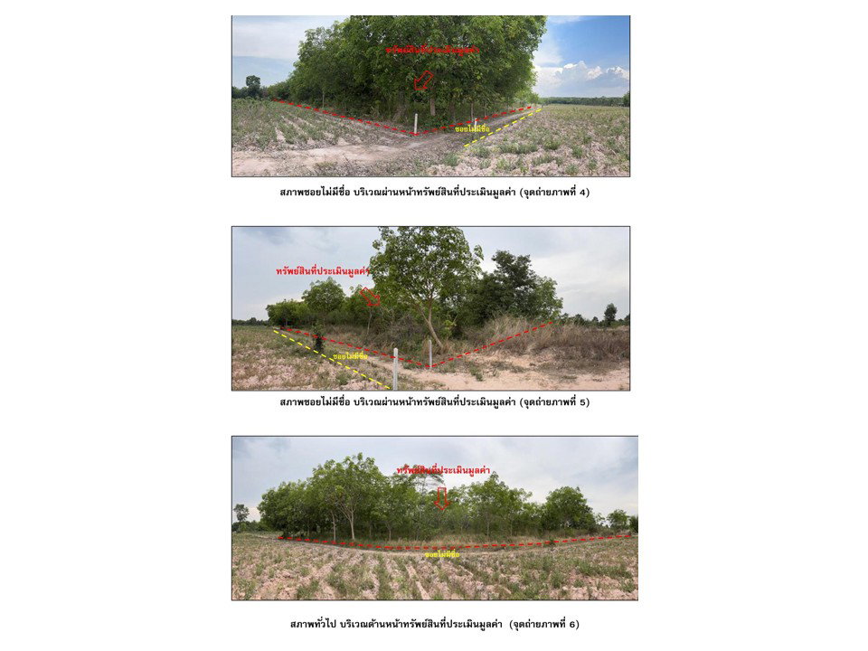 picture LAND 1797.3 Sq.w. Phanom Dong Rak Surin for 693,000 - 3/4