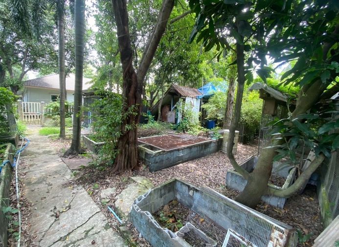 Land for sale, 801 sq wah, Phasi Charoen