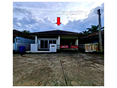 LAND 35 Sq.w. Wiang Sa Surat Thani for 1.4M