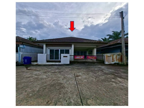 LAND 35 Sq.w. Wiang Sa Surat Thani for 1.4M