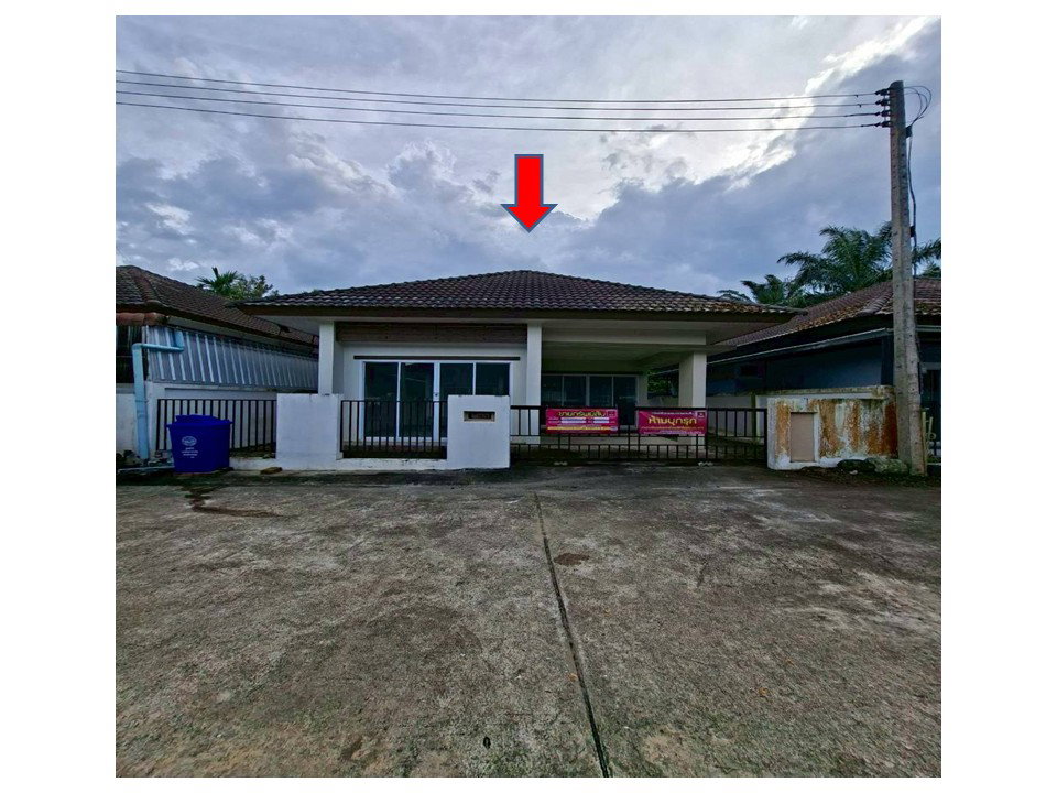 picture LAND 35 Sq.w. Wiang Sa Surat Thani for 1.4M - 1/6