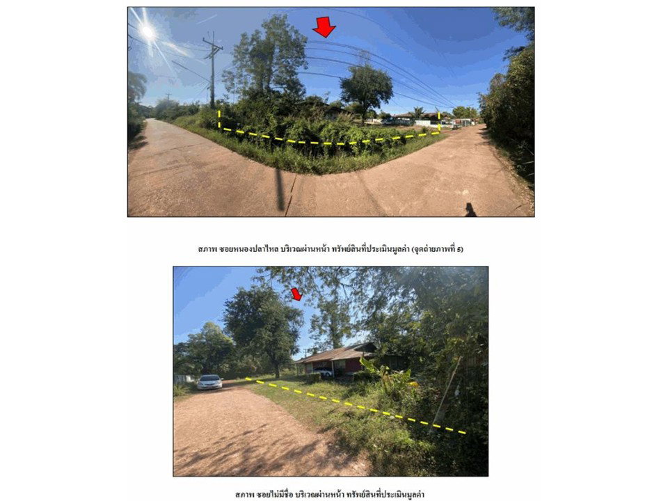 picture LAND 169 Sq.w. Phon Phisai Nongkai for 675,000 - 4/5
