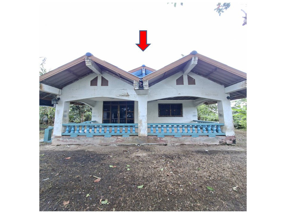 picture HOME 192 Sq.w. Pak Phayun Phatthalung for 607,000 - 1/7