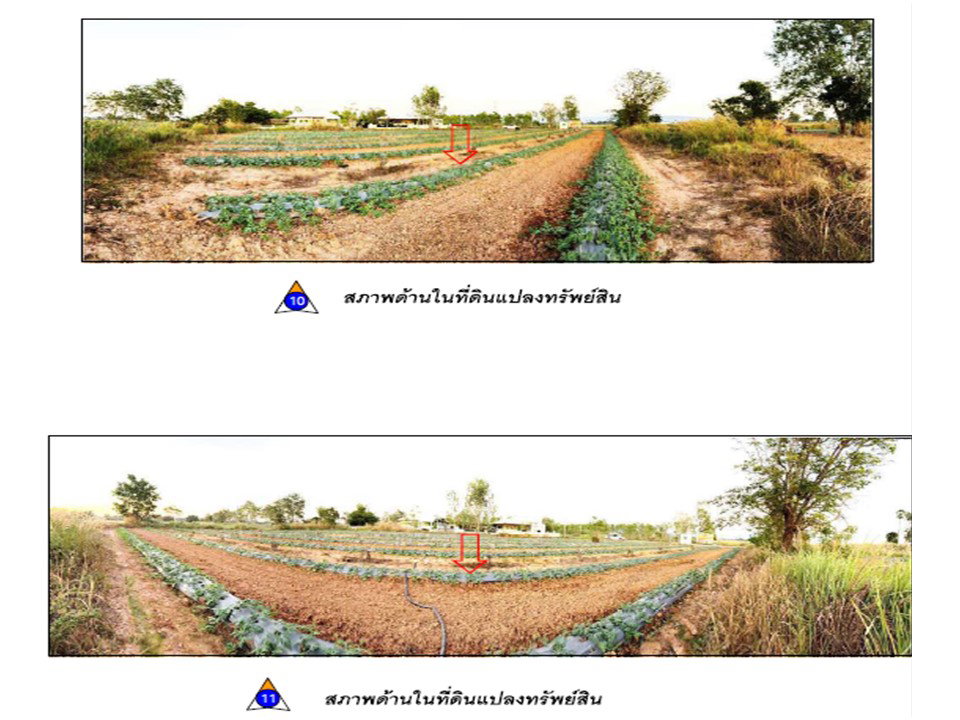 รูป ที่ดิน 656.7 ตร.วา เมืองพิษณุโลก พิษณุโลก 2.6M - รูปที่ 5/5