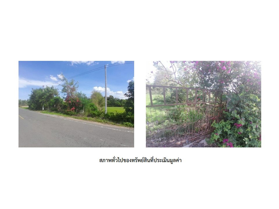 รูป ที่ดินพร้อมสิ่งปลูกสร้าง 800 ตร.วา ท่าตูม สุรินทร์ 690,000 - รูปที่ 4/9