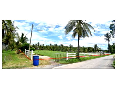 Land for sale Petchburi : LAND 5533.3 Sq.w. Ban Laem Petchburi for 6.5M