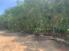 listing thumbnail image 18