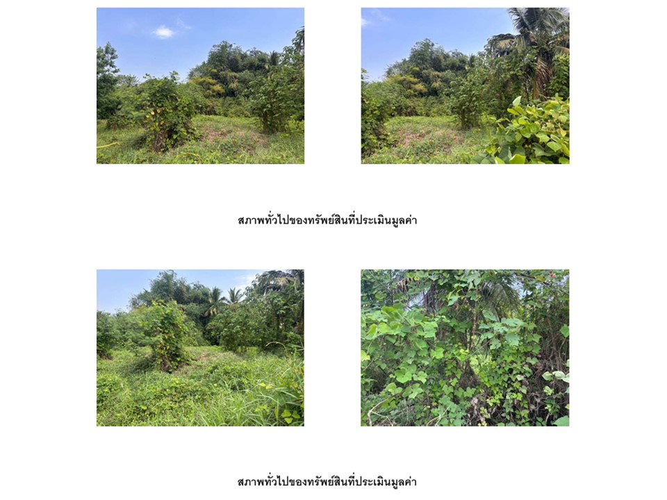 picture LAND 817 Sq.w. Muang Phetchabun Phetchabun for 1.2M - 4/4