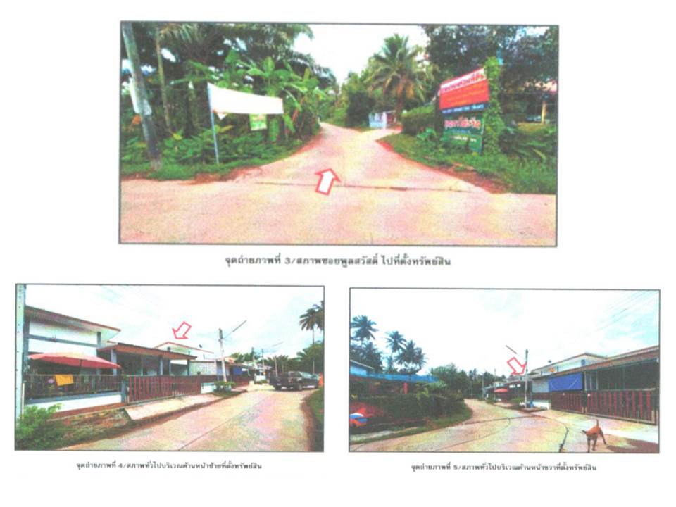 picture LAND 23.6 Sq.w. Phunphin Surat Thani for 1.3M - 4/8