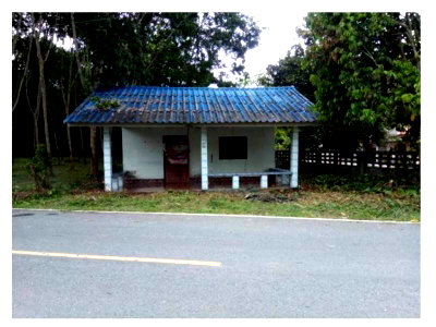 Houses for sale Nakhon Sri Thammarat : HOME 48 Sq.w. Chawang Nakhon Sri Thammarat for 319,000