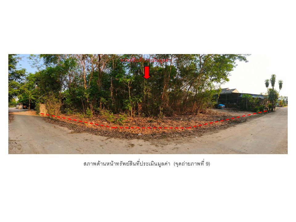 รูป ที่ดินพร้อมสิ่งปลูกสร้าง 177 ตร.วา สามง่าม พิจิตร 525,000 - รูปที่ 6/8