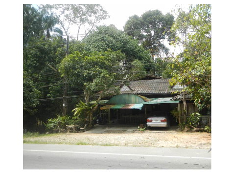 ที่ดินพร้อมสิ่งปลูกสร้าง 230 ตร.วา สุไหงปาดี นราธิวาส 914,000