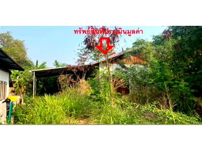 ที่ดิน ศาลหลักเมืองจังหวัดขอนแก่น : ที่ดินพร้อมสิ่งปลูกสร้าง 151.1 ตร.วา เมืองขอนแก่น ขอนแก่น 1.5M