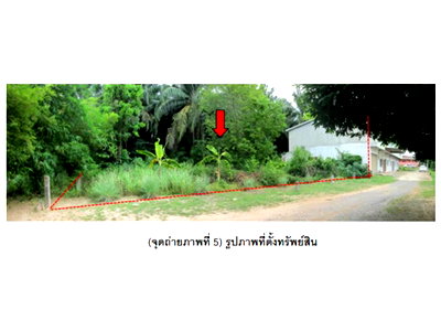 LAND 117.5 Sq.w. Muang Surat Thani Surat Thani for 1.5M