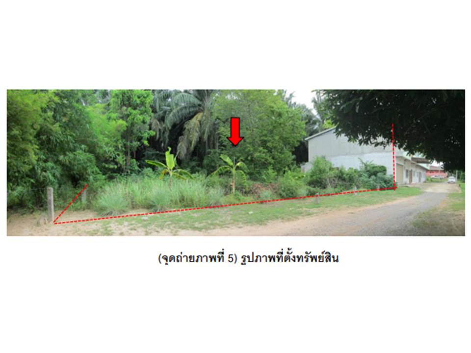 picture LAND 117.5 Sq.w. Muang Surat Thani Surat Thani for 1.5M - 1/4