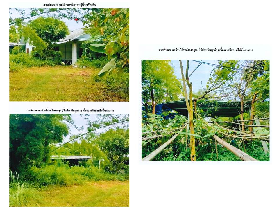 picture LAND 297 Sq.w. Hang Chat Lamphang for 1.3M - 5/5