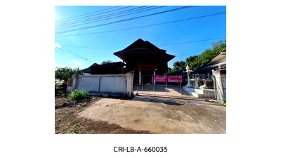ที่ดิน เชียงราย : ที่ดินพร้อมสิ่งปลูกสร้าง 131 ตร.วา แม่จัน เชียงราย 853,000