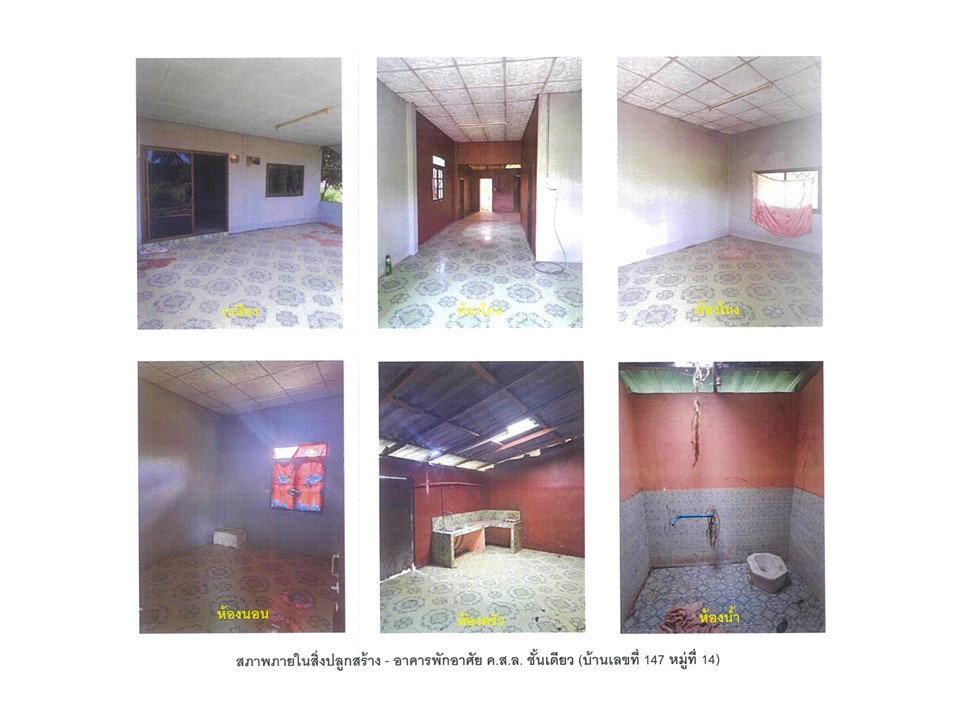 รูป ที่ดินพร้อมสิ่งปลูกสร้าง 293 ตร.วา พญาเม็งราย เชียงราย 1.1M - รูปที่ 4/5