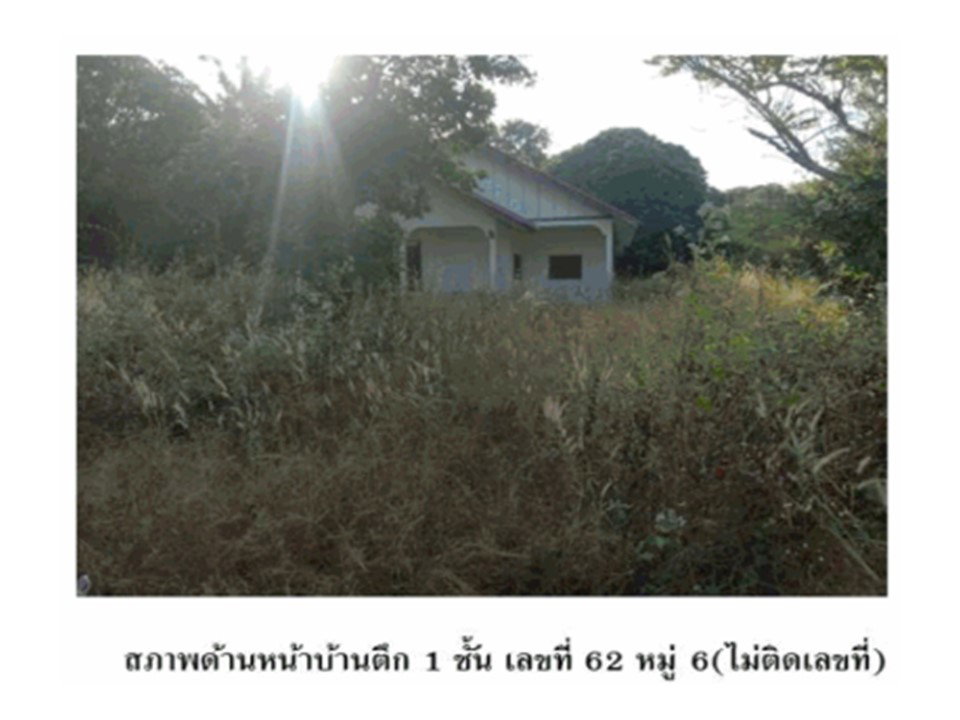 picture LAND 1020 Sq.w. Huai Phung Kalasin for 1.3M - 1/7