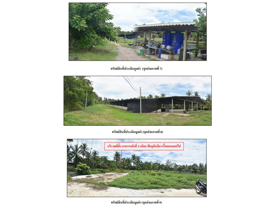 picture LAND 5533.3 Sq.w. Ban Laem Petchburi for 6.5M - 5/9