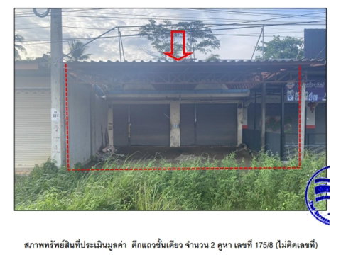 LAND 50 Sq.w. Phanom Surat Thani for 1.9M